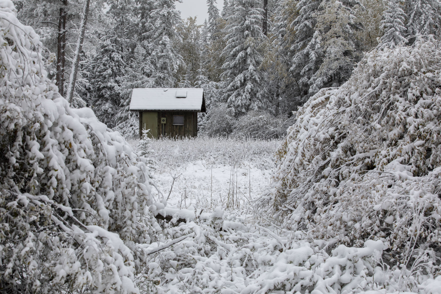 Autumn snow